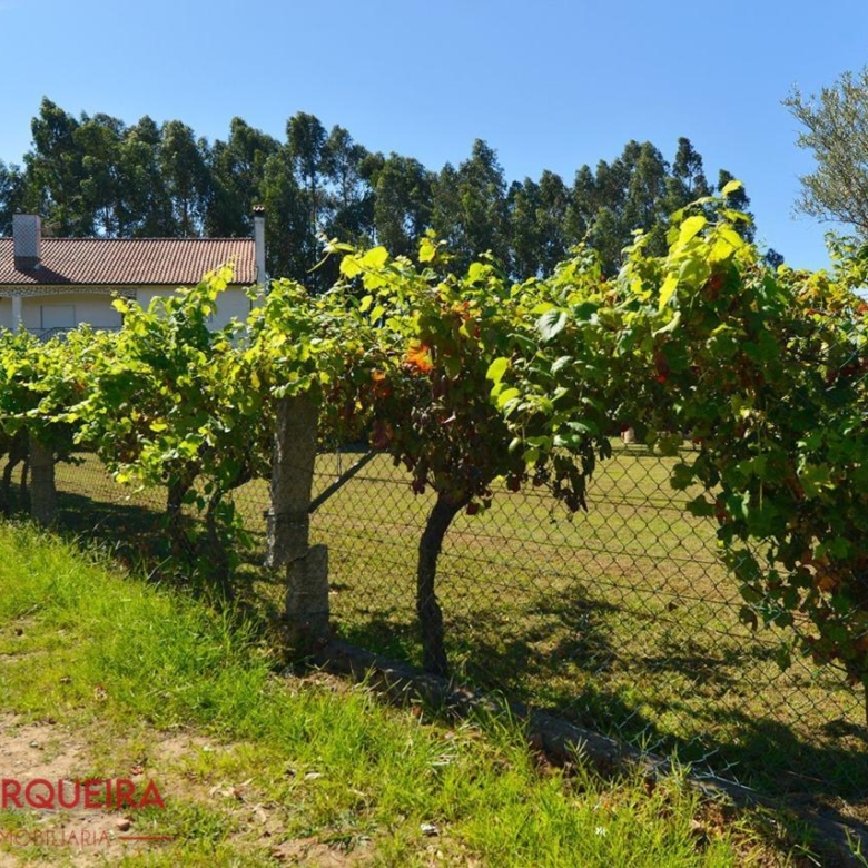 GRAN VIVIENDA EN VALENÇA CON 6.000 m² DE TERRENO – IDEAL PARA CASA RURAL