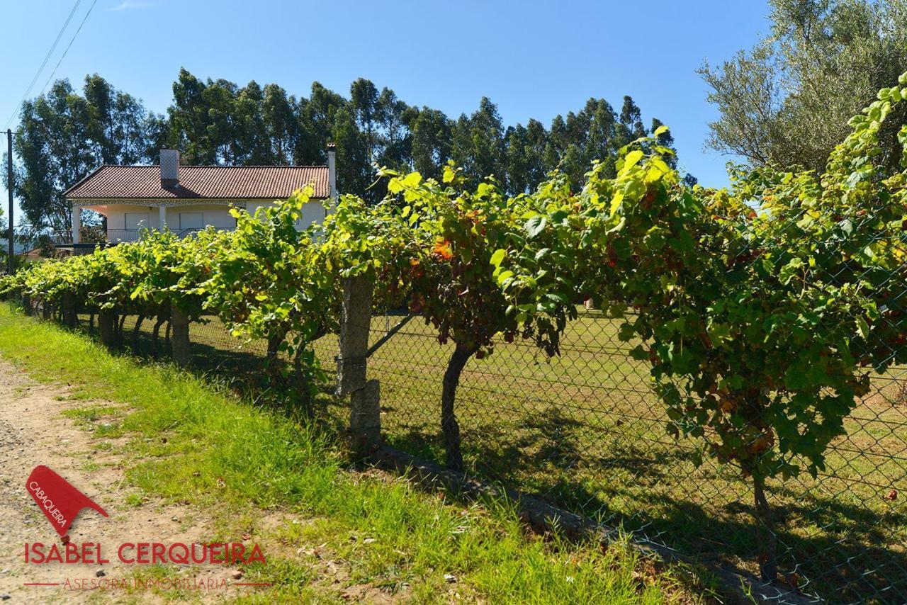 175380155611800039637_173385155461 GRAN VIVIENDA EN VALENÇA CON 6.000 m² DE TERRENO – IDEAL PARA CASA RURAL