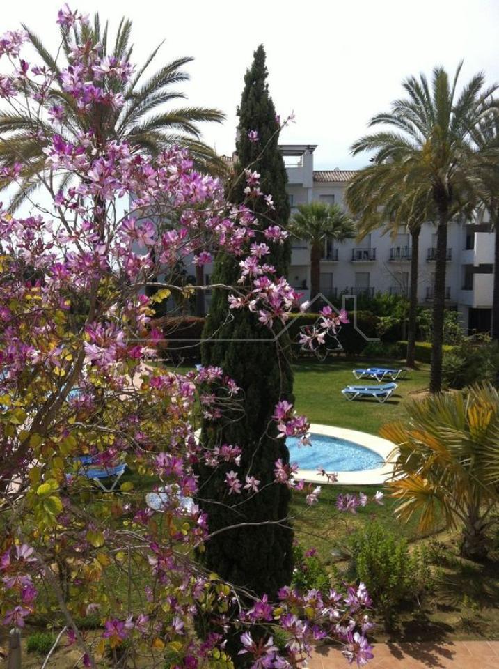 Fantastico Piso en venta en Nueva Andalucia cerca de Puerto Banus