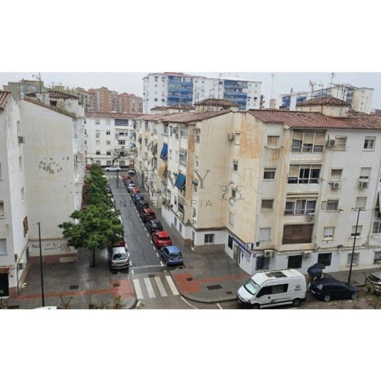 Piso de 4 habitaaciones en Parque del Mediterraneo