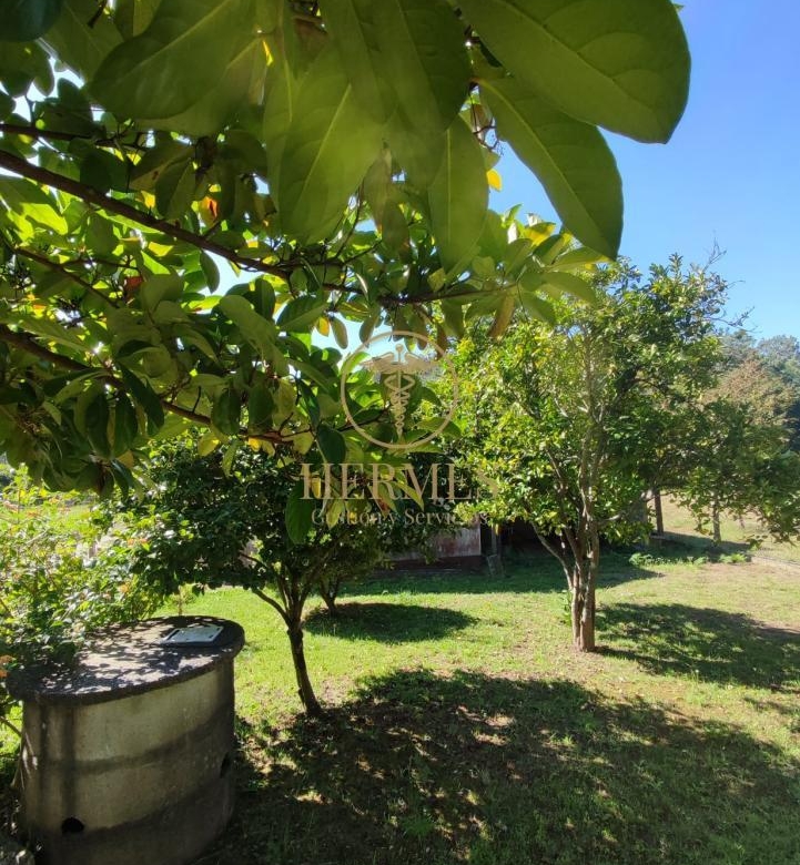 Casa de plata baja en Tomiño!!