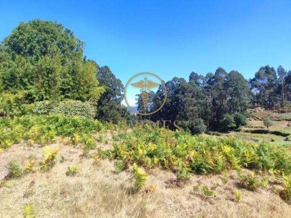 Se vende casa rustica  en obra, Porriño.
