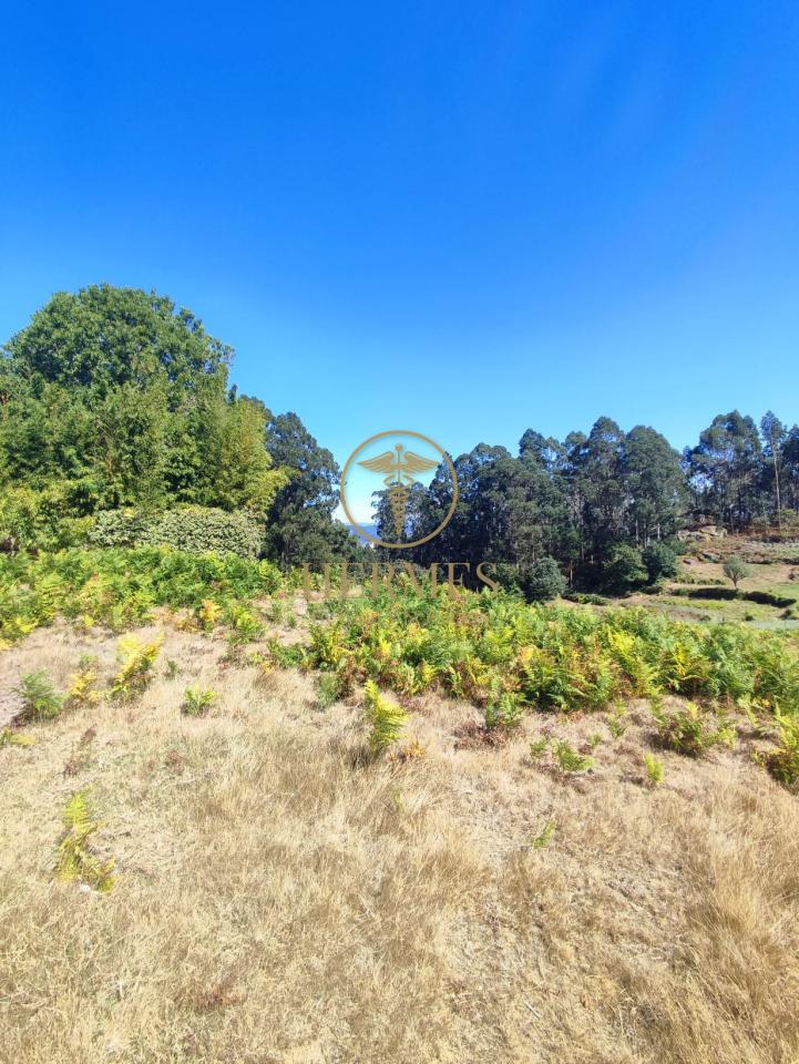 176484616816200038648_176484594659 Se vende casa rustica en obra, Porriño.