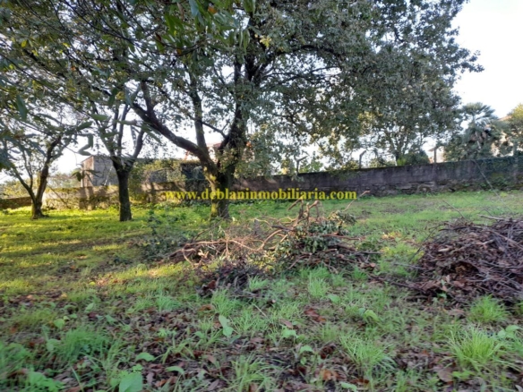 TERRENO EDIFICABLE DE 1.703 M2, A 5 MINUNOS DEL CENTRO
