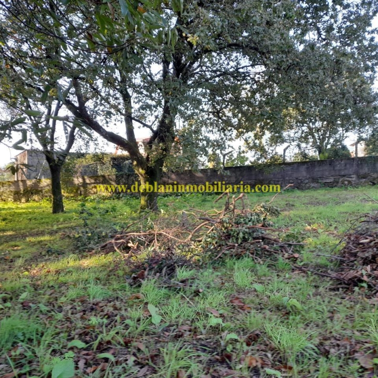 TERRENO EDIFICABLE DE 1.703 M2, A 5 MINUNOS DEL CENTRO