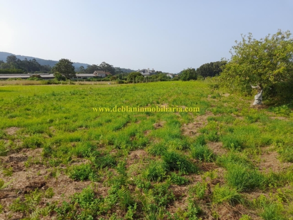 TERRENO EDIFICABLE DE 1.700 M2, A 5 MINUTOS DEL CENTRO