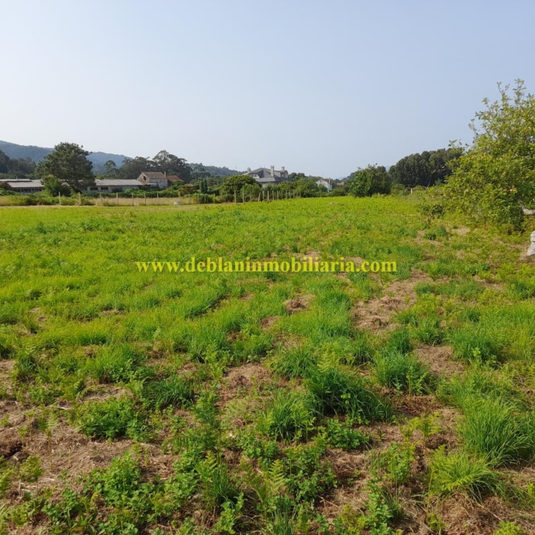 TERRENO EDIFICABLE DE 1.700 M2, A 5 MINUTOS DEL CENTRO