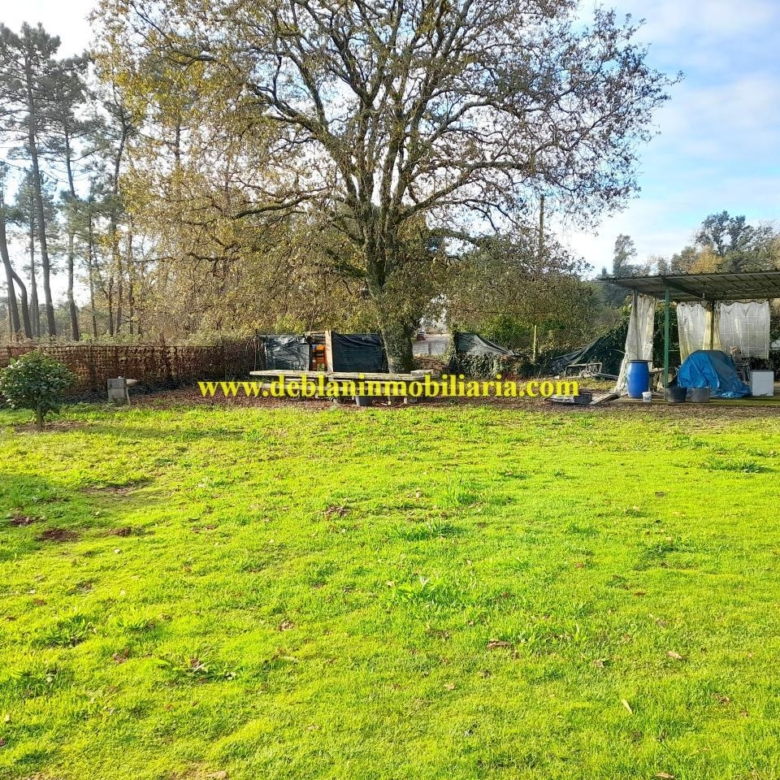 TERRENO DE 2.200 M2 CON DOS CASAS DE PIEDRA A REHABILTAR