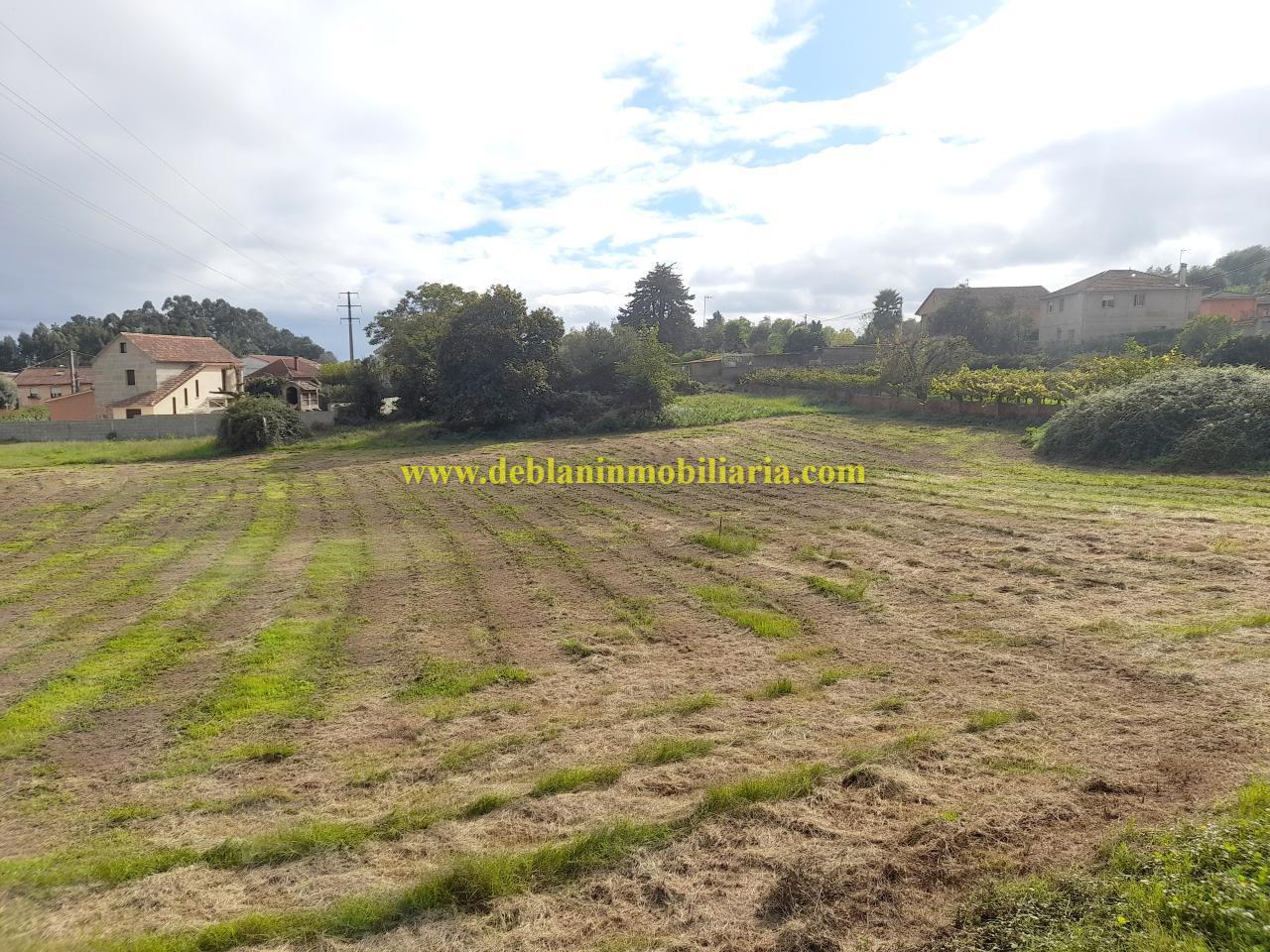 176648576464400010489_176648574052 TERRENO EDIFICABLE DE 3.816 M2, A 5 MINUTOS DEL CENTRO