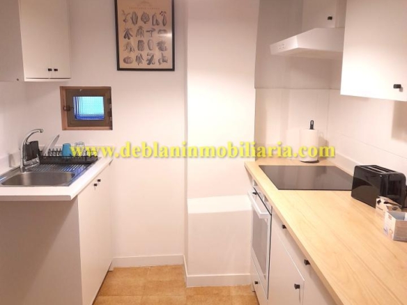 VIVIENDA AMUEBLADA DE 2 HABITACIONES, EN EL CENTRO