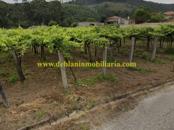 TERRENO EDIFICABLE DE 904 M2, EN REBORDANS