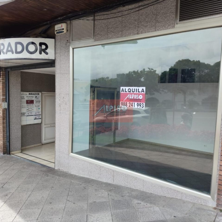 Alquiler bajo Avda. Santiago