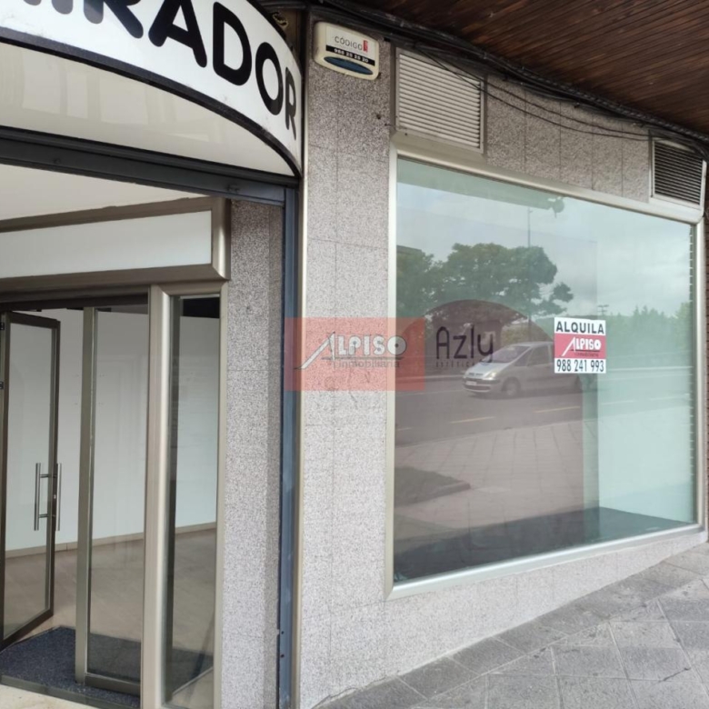 Alquiler bajo Avda. Santiago