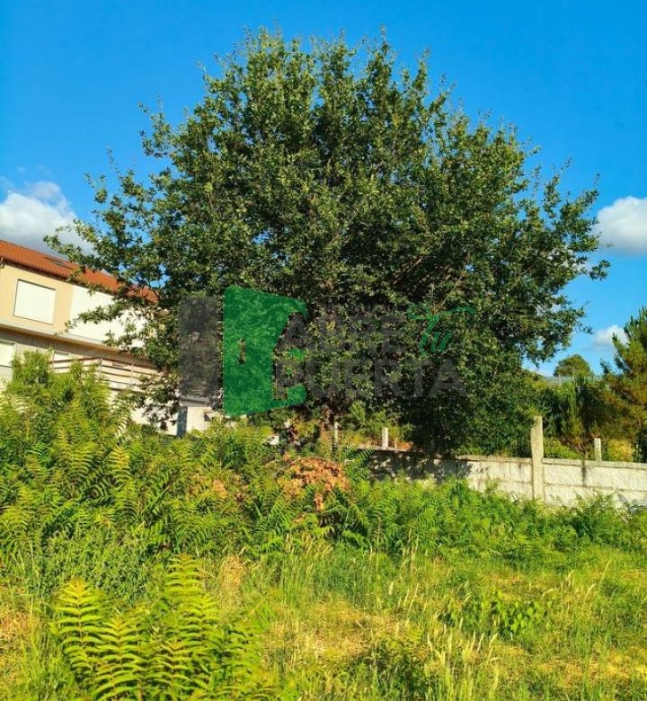 CASA PARA REFORMAR