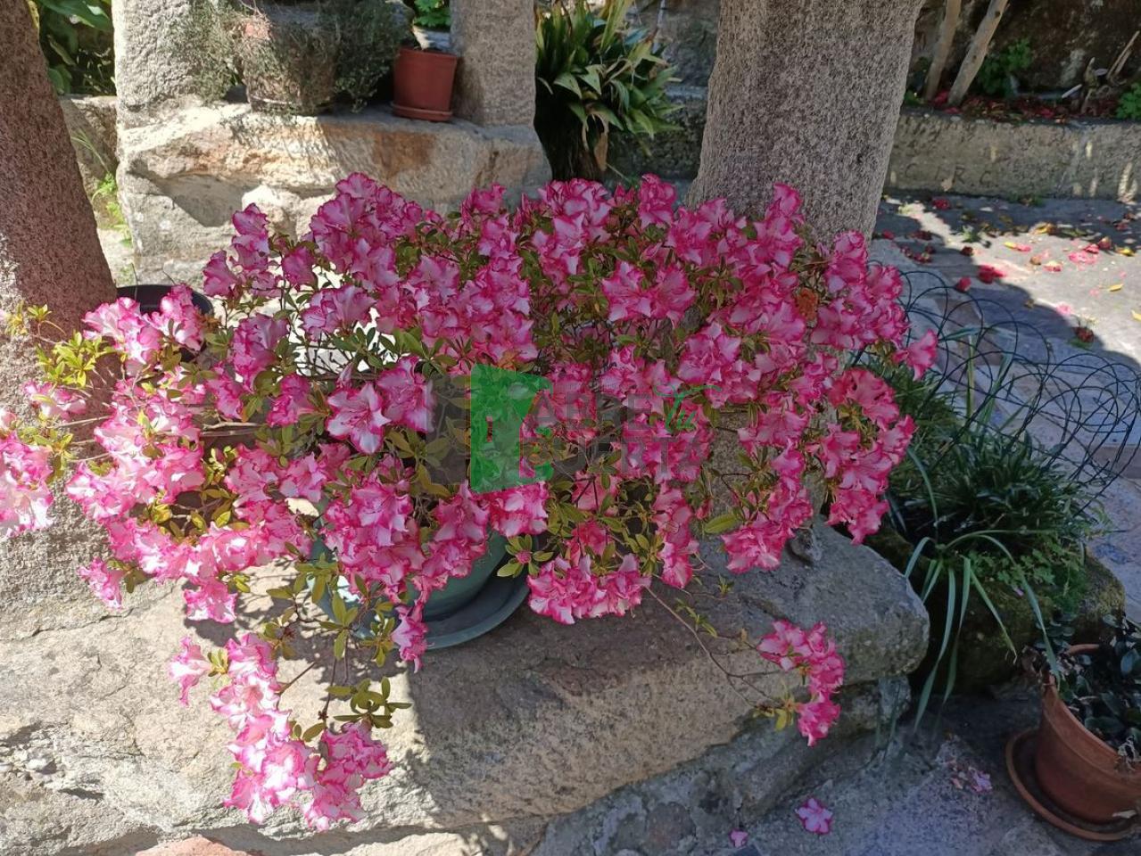 Casa en venta en PADERENE DE ALLARIZ