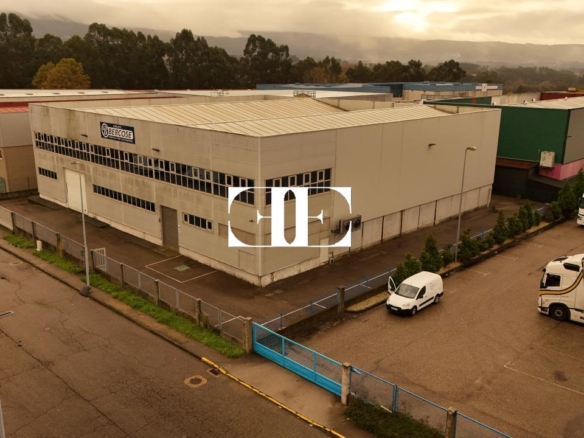 “Gran Nave con Cámara Frigorífica y Oficinas en Tui, Excelente Ubicación”