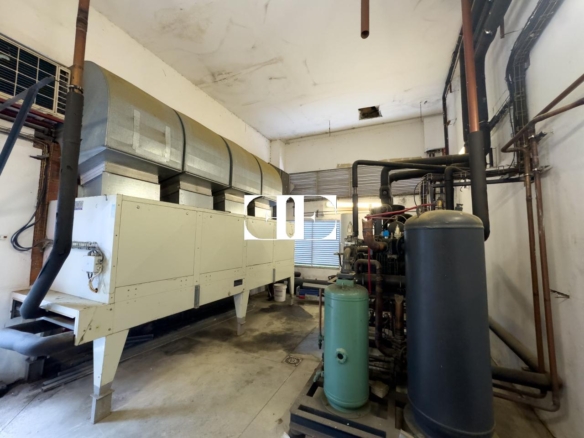 “Gran Nave con Cámara Frigorífica y Oficinas en Tui, Excelente Ubicación”