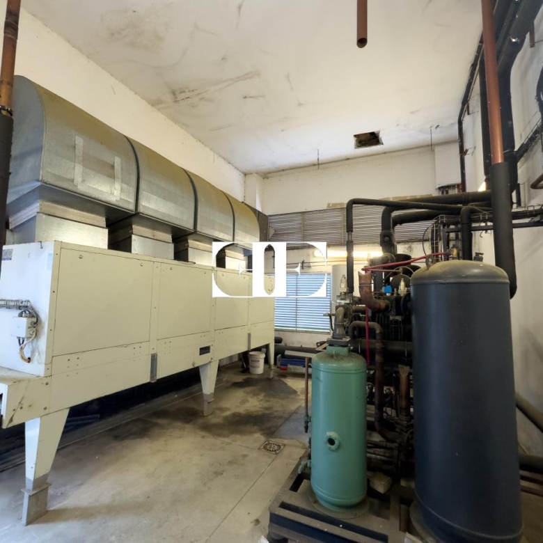 “Gran Nave con Cámara Frigorífica y Oficinas en Tui, Excelente Ubicación”