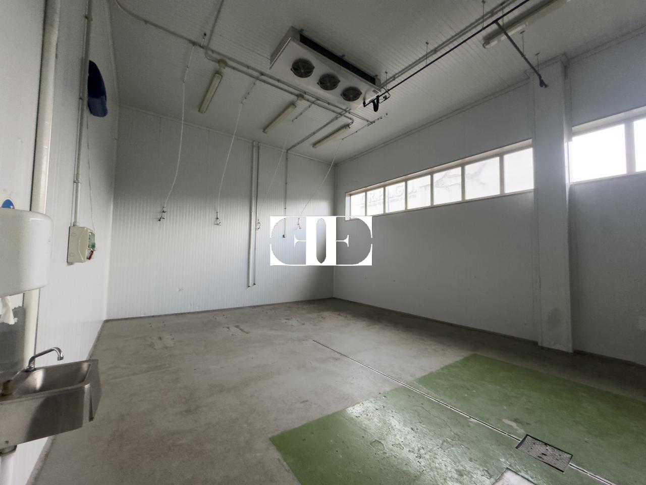 177080960535400026694_173229068111 “Gran Nave con Cámara Frigorífica y Oficinas en Tui, Excelente Ubicación”