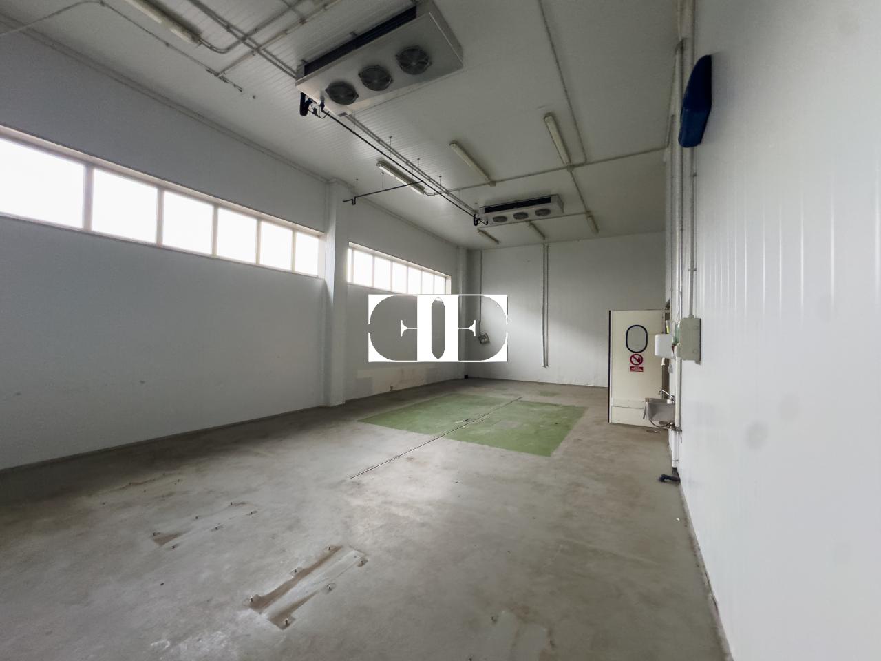 177080960608500026694_173229068219 “Gran Nave con Cámara Frigorífica y Oficinas en Tui, Excelente Ubicación”