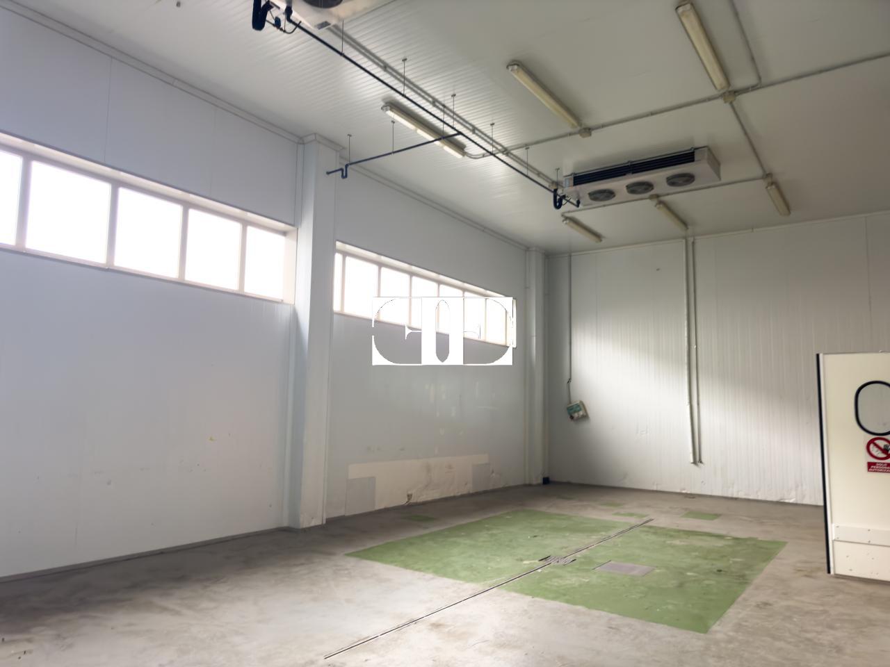 177080960732700026694_173229068546 “Gran Nave con Cámara Frigorífica y Oficinas en Tui, Excelente Ubicación”