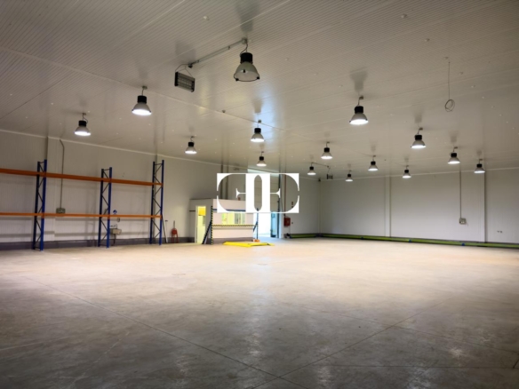“Gran Nave con Cámara Frigorífica y Oficinas en Tui, Excelente Ubicación”