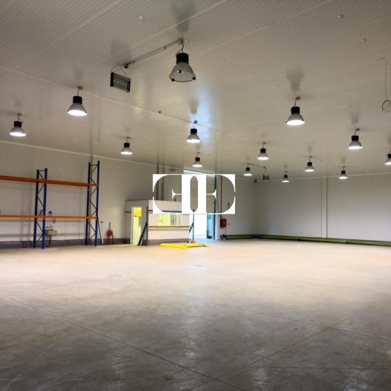 “Gran Nave con Cámara Frigorífica y Oficinas en Tui, Excelente Ubicación”