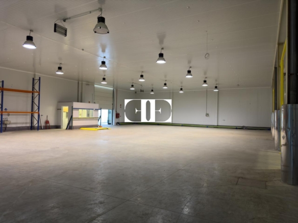 “Gran Nave con Cámara Frigorífica y Oficinas en Tui, Excelente Ubicación”