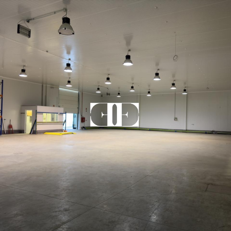 “Gran Nave con Cámara Frigorífica y Oficinas en Tui, Excelente Ubicación”