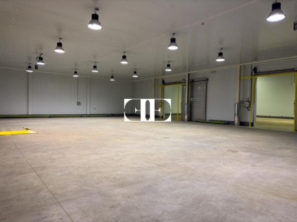 “Gran Nave con Cámara Frigorífica y Oficinas en Tui, Excelente Ubicación”