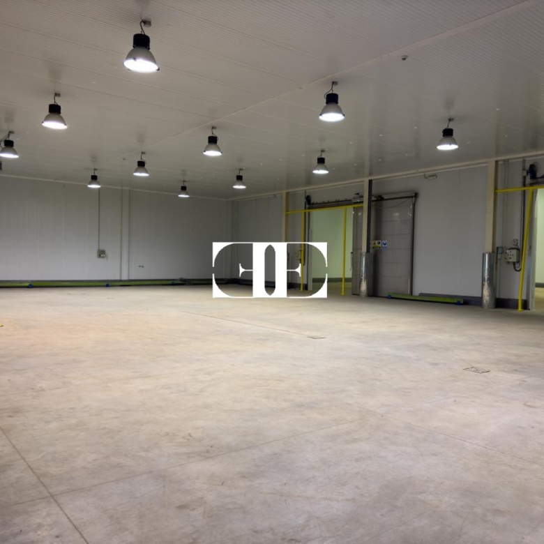 “Gran Nave con Cámara Frigorífica y Oficinas en Tui, Excelente Ubicación”