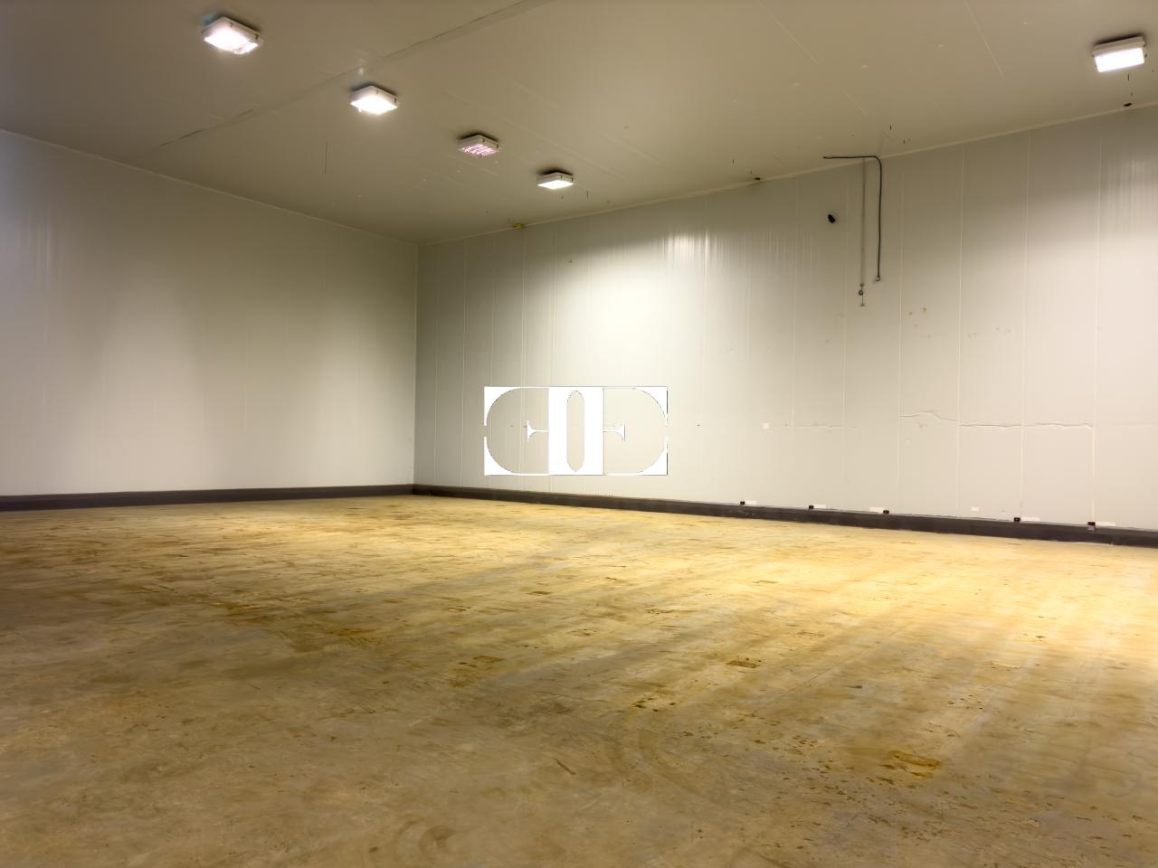 177080960938900026694_173229070134 “Gran Nave con Cámara Frigorífica y Oficinas en Tui, Excelente Ubicación”