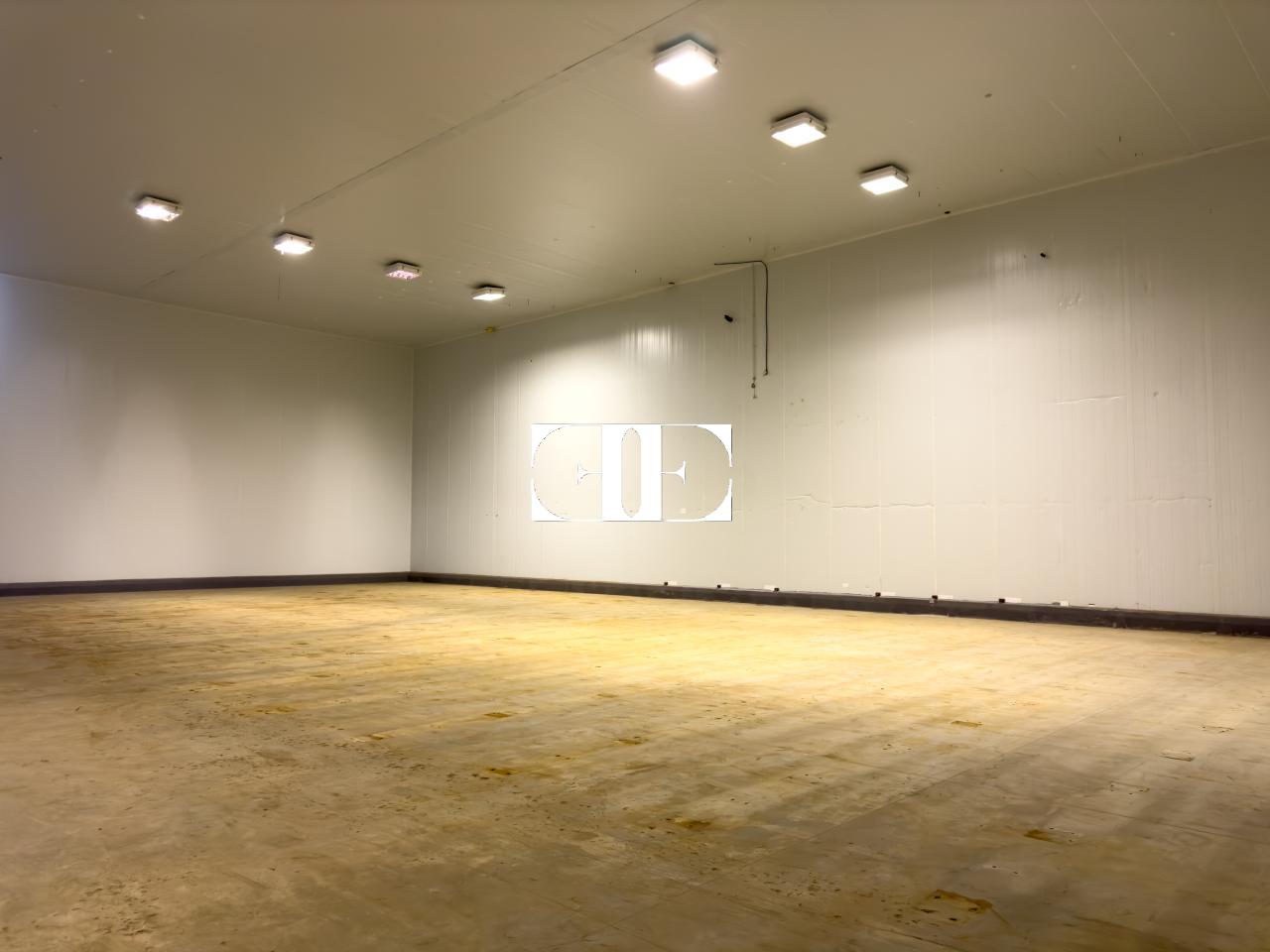 177080961017000026694_173229070462 “Gran Nave con Cámara Frigorífica y Oficinas en Tui, Excelente Ubicación”