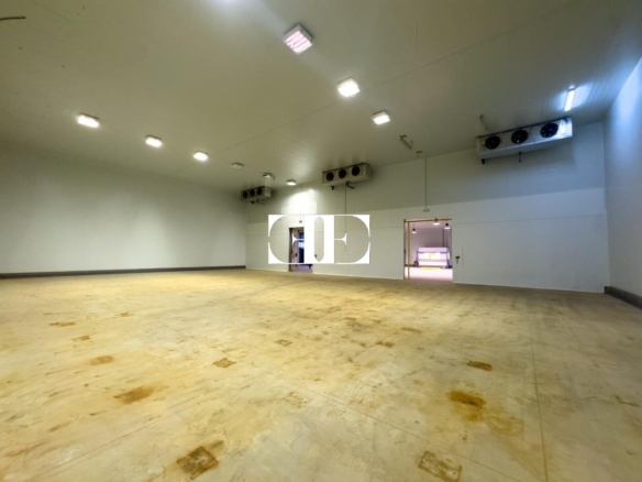 “Gran Nave con Cámara Frigorífica y Oficinas en Tui, Excelente Ubicación”