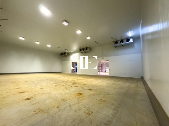 “Gran Nave con Cámara Frigorífica y Oficinas en Tui, Excelente Ubicación”