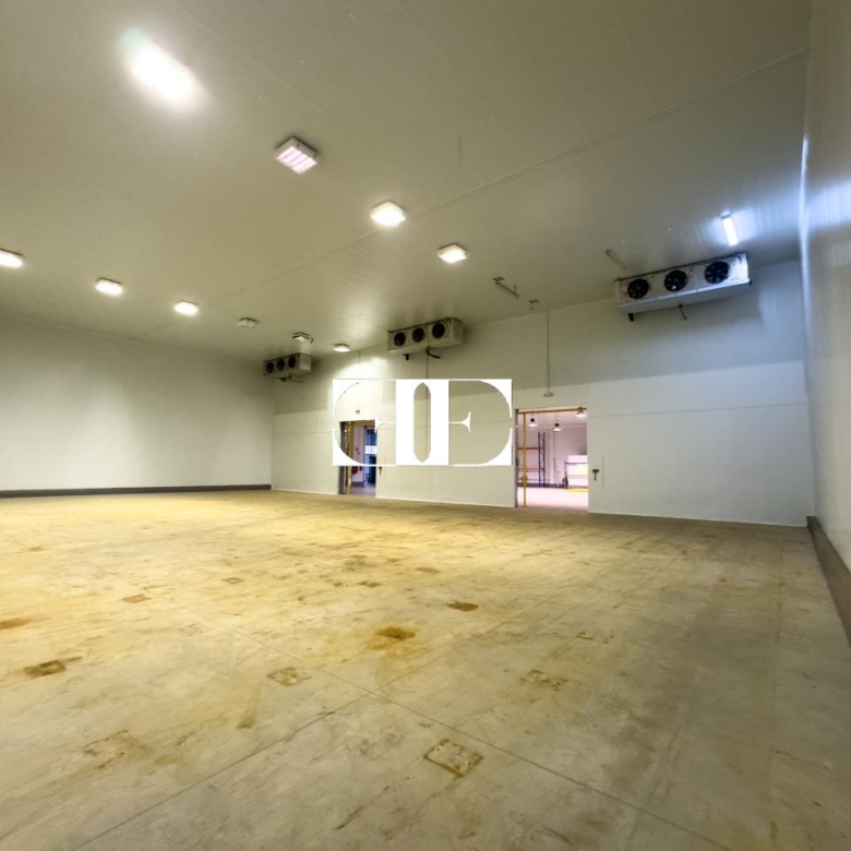 “Gran Nave con Cámara Frigorífica y Oficinas en Tui, Excelente Ubicación”