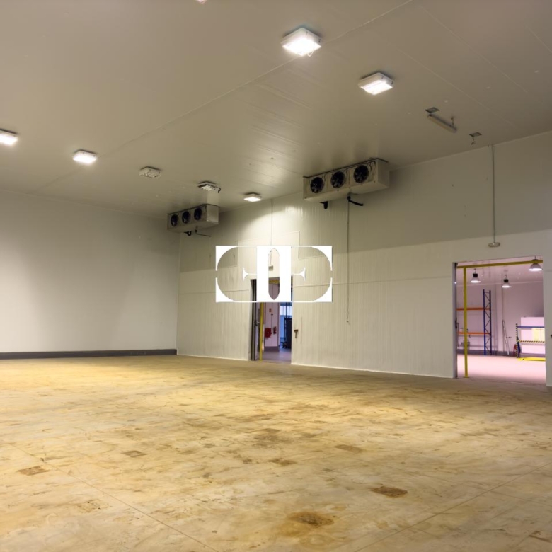 “Gran Nave con Cámara Frigorífica y Oficinas en Tui, Excelente Ubicación”