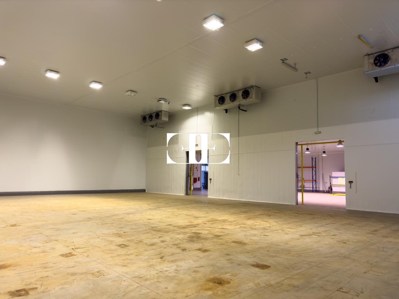 177080961361300026694_173229071512 “Gran Nave con Cámara Frigorífica y Oficinas en Tui, Excelente Ubicación”