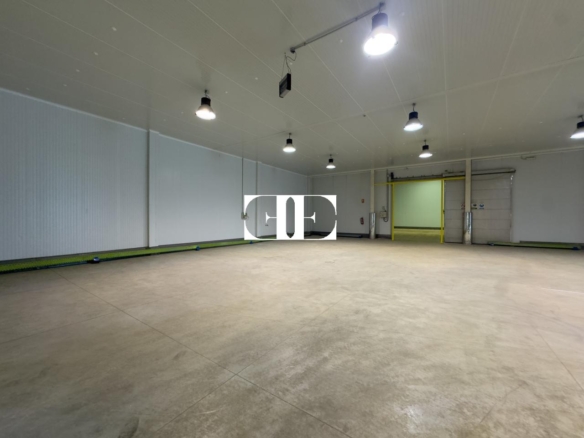 “Gran Nave con Cámara Frigorífica y Oficinas en Tui, Excelente Ubicación”