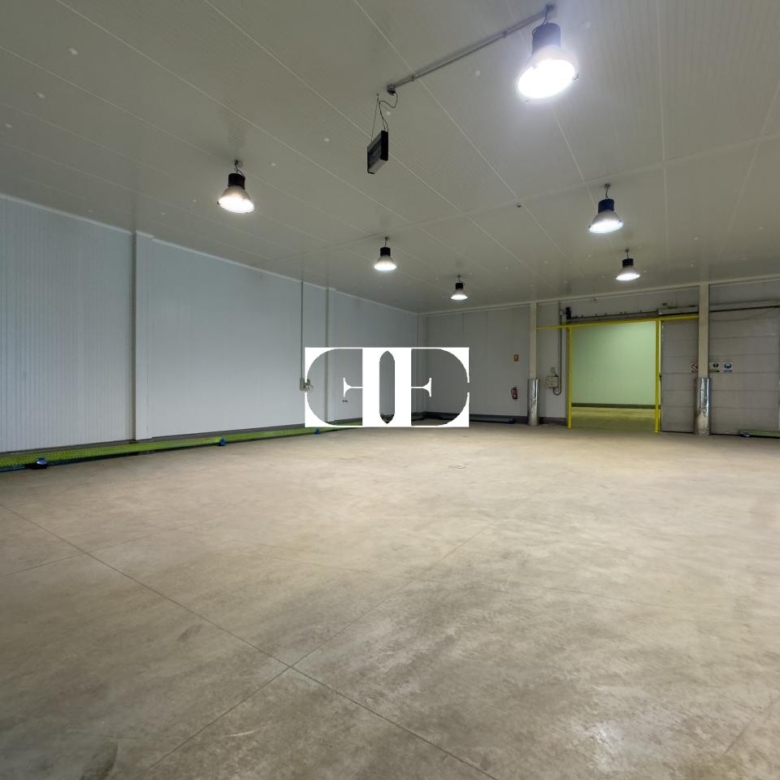 “Gran Nave con Cámara Frigorífica y Oficinas en Tui, Excelente Ubicación”