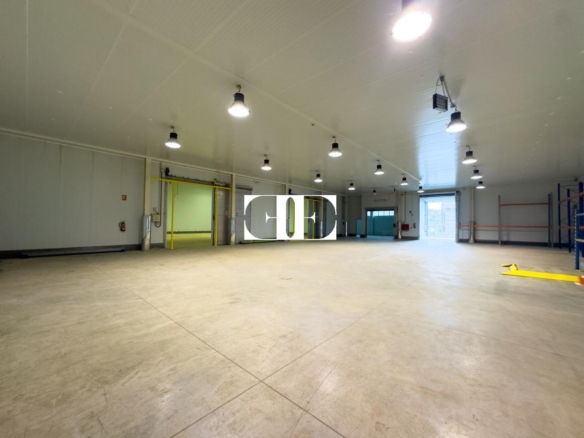“Gran Nave con Cámara Frigorífica y Oficinas en Tui, Excelente Ubicación”