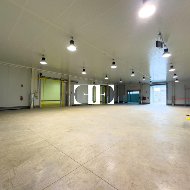 “Gran Nave con Cámara Frigorífica y Oficinas en Tui, Excelente Ubicación”