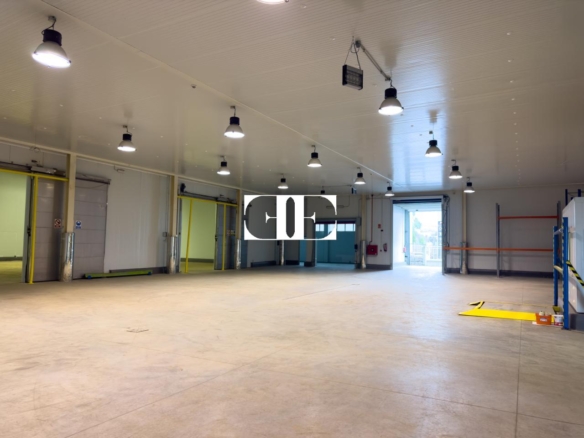 “Gran Nave con Cámara Frigorífica y Oficinas en Tui, Excelente Ubicación”