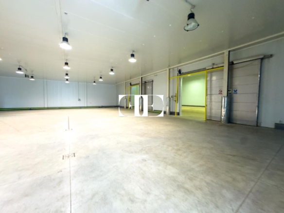 “Gran Nave con Cámara Frigorífica y Oficinas en Tui, Excelente Ubicación”
