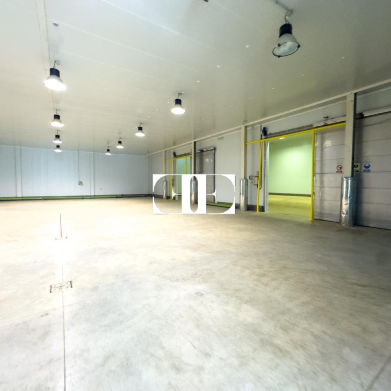 “Gran Nave con Cámara Frigorífica y Oficinas en Tui, Excelente Ubicación”