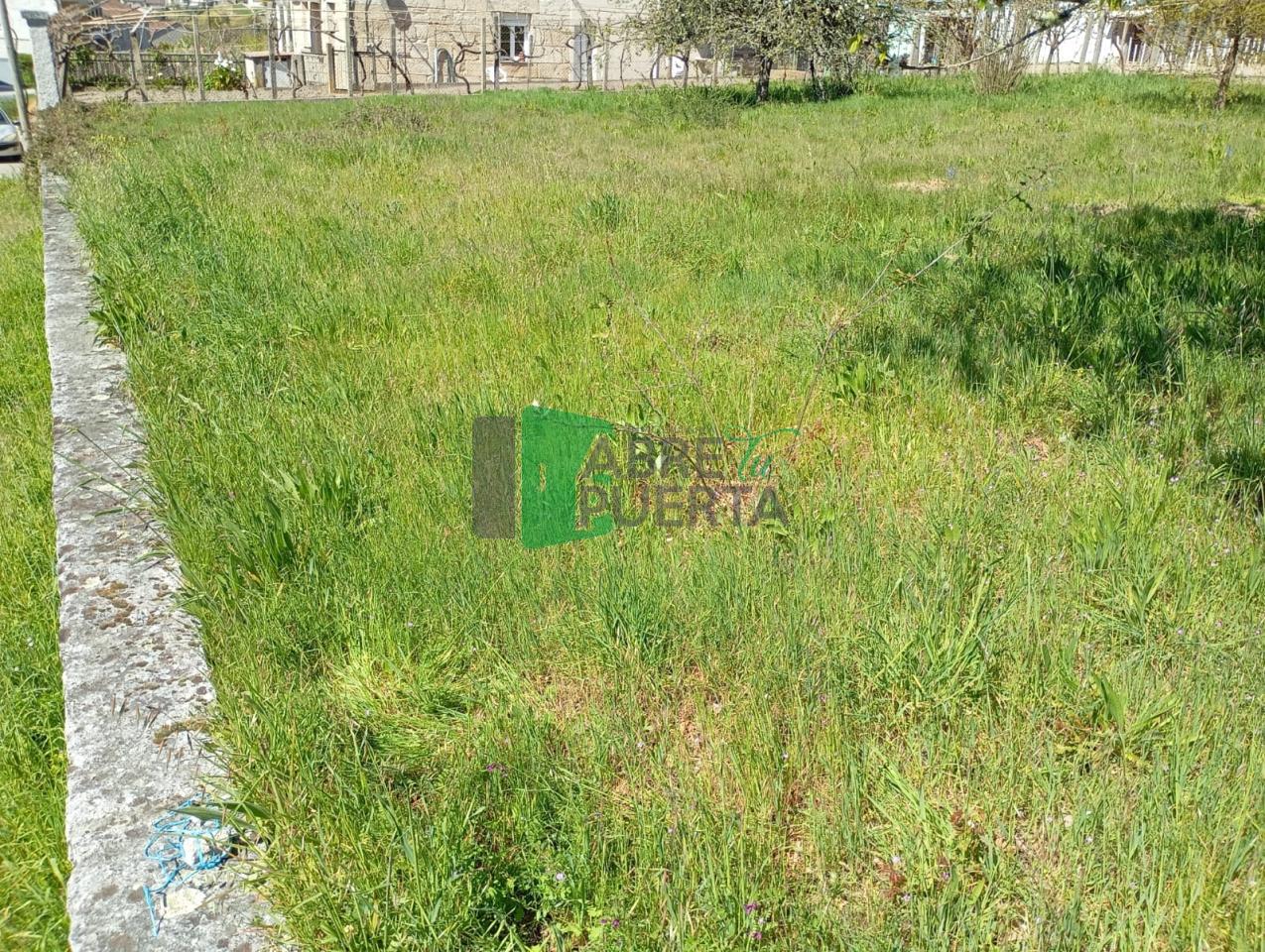 177497607165600010739_177497574139 FINCA URBANIZABLE AMOEIRO