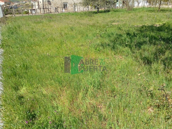 FINCA URBANIZABLE AMOEIRO