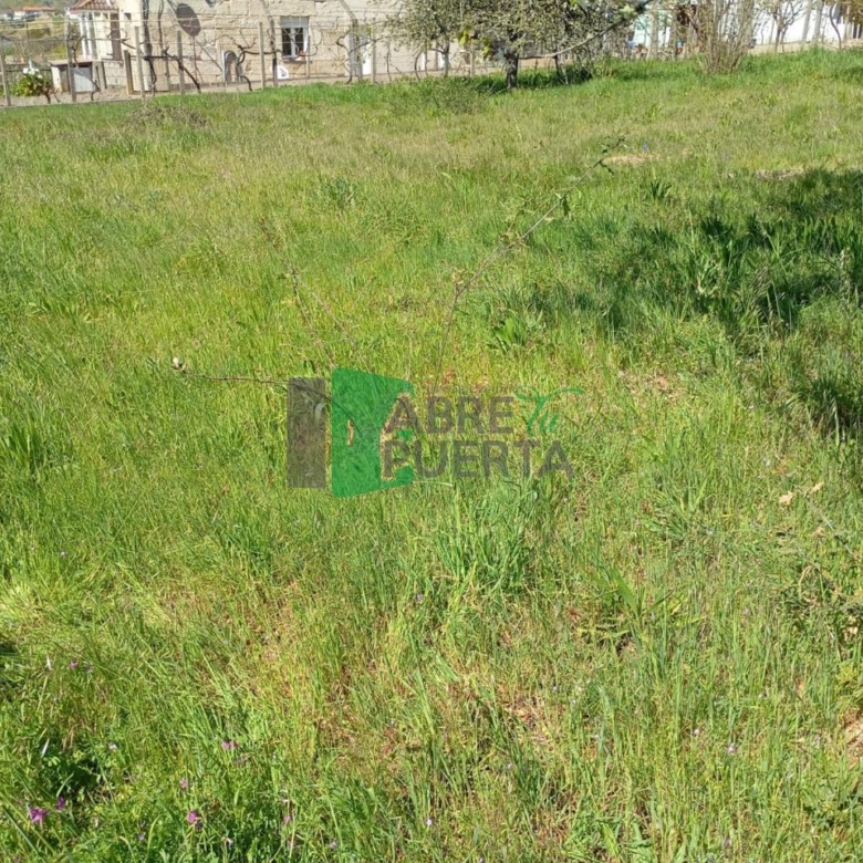 FINCA URBANIZABLE AMOEIRO