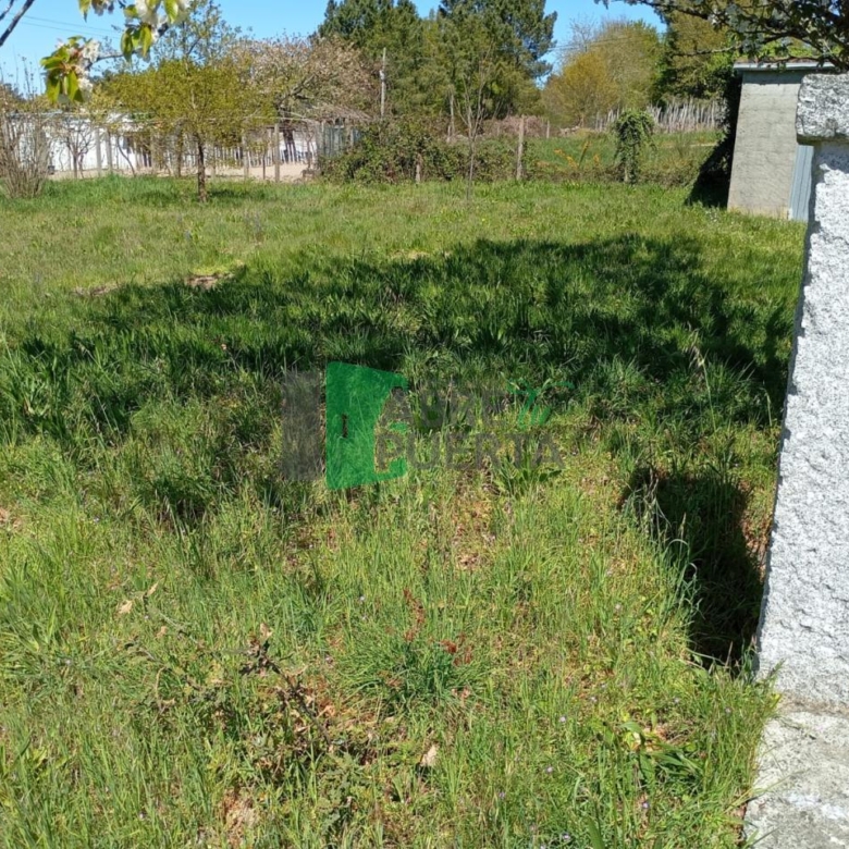 FINCA URBANIZABLE AMOEIRO