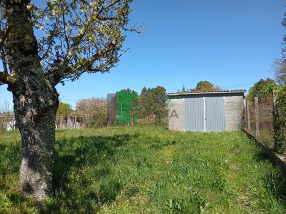 FINCA URBANIZABLE AMOEIRO